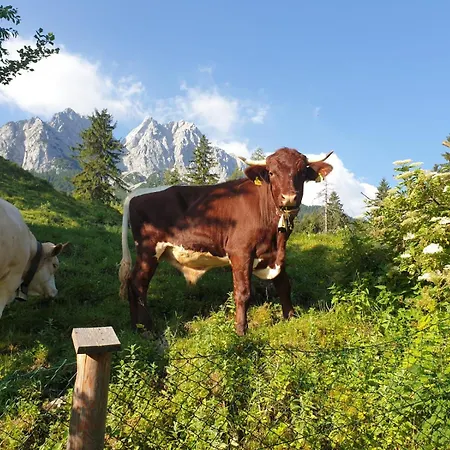 Mein Koenigreich דירה גרמיש-פרטנקירכן